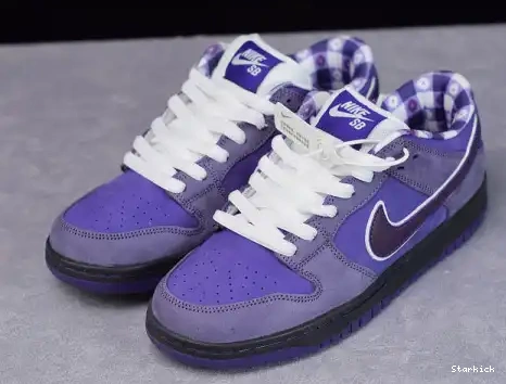 Concepts Purple SB Nike Low Lobster Dunk BV1310-555 0707